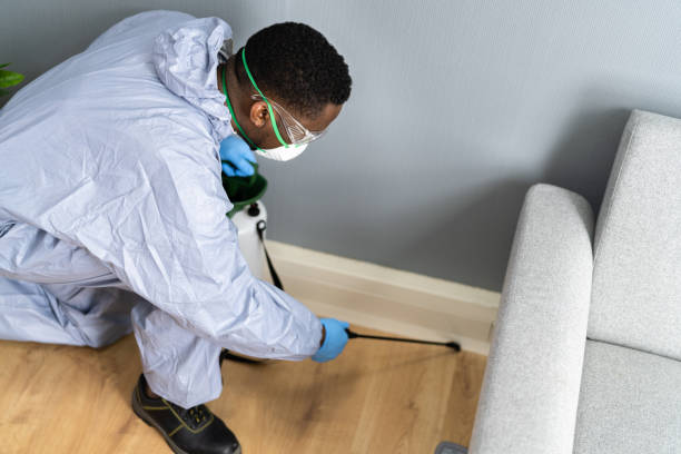 Best Pest Control for Multi-Family Homes  in Feather Sound, FL